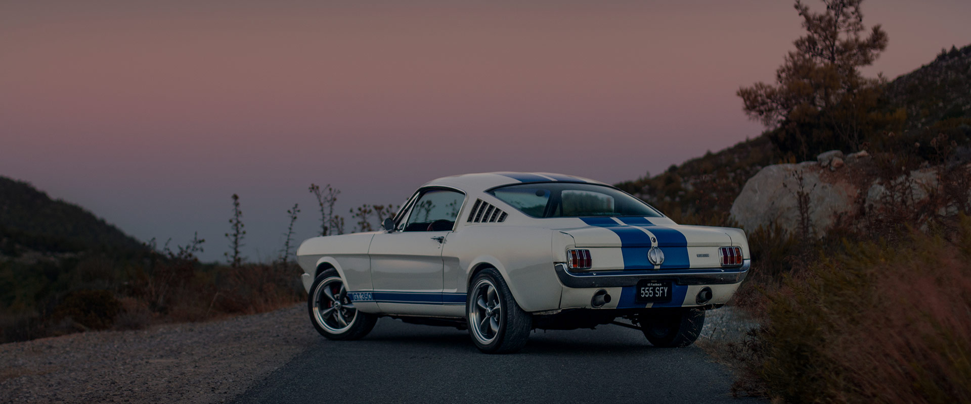 Mustang Shelby